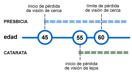 Evolución de la visión